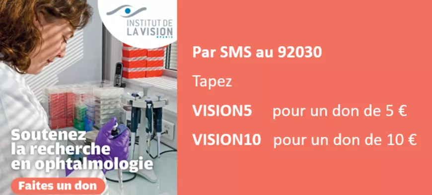 Don par SMS au 92030 - tapez VISION5 ou VISION10 - pour un don de 5 euros ou de 10 euros