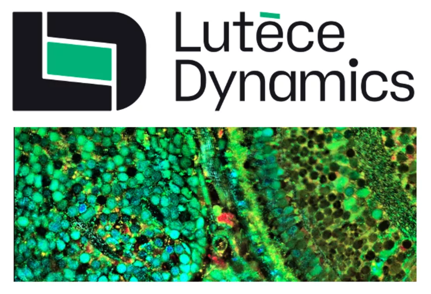 Logo Lutèce Dynamics