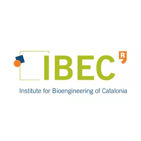 IBEC